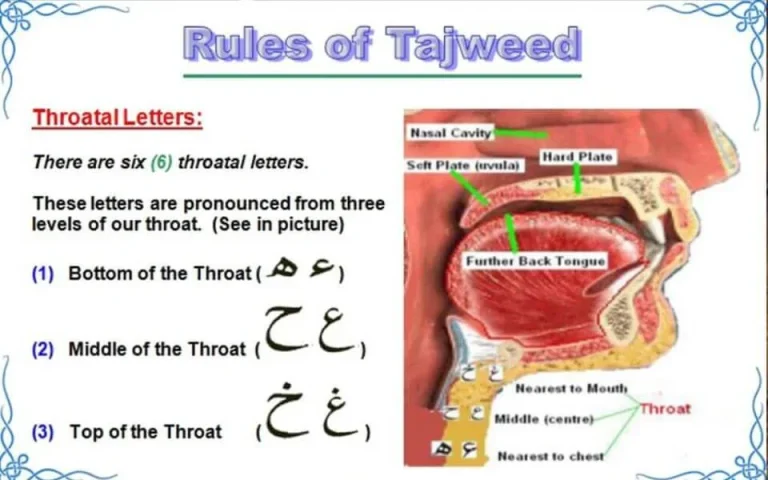 tajweed rules